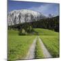 Austria, Styria, Grimming, Meadow, Lane-Rainer Mirau-Mounted Photographic Print