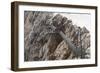 Austria, Styria, Ramsau, Hoher Dachstein (Mountain), Stairs Leading Nowhere, Suspension Bridge-Gerhard Wild-Framed Photographic Print