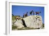 Austria, Styria, Schladminger Tauern, Rocks, Mountain-Goats, Nature-Rainer Mirau-Framed Photographic Print