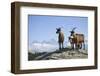 Austria, Styria, Schladminger Tauern, Rocks, Mountain-Goats, Nature-Rainer Mirau-Framed Photographic Print