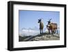 Austria, Styria, Schladminger Tauern, Rocks, Mountain-Goats, Nature-Rainer Mirau-Framed Photographic Print