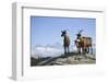 Austria, Styria, Schladminger Tauern, Rocks, Mountain-Goats, Nature-Rainer Mirau-Framed Photographic Print