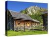Austria, Styria, Schladminger Tauern, Ursprung Alp, Alp, Alpine Landscape-Gerhard Wild-Stretched Canvas