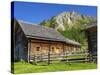 Austria, Styria, Schladminger Tauern, Ursprung Alp, Alp, Alpine Landscape-Gerhard Wild-Stretched Canvas