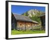 Austria, Styria, Schladminger Tauern, Ursprung Alp, Alp, Alpine Landscape-Gerhard Wild-Framed Photographic Print