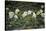 Austria, Thiersee, Snow Roses-Ludwig Mallaun-Stretched Canvas