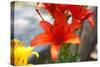 Austria, Tirol, Flowers, Orange Lily-Samuel Magal-Stretched Canvas