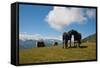 Austria, Tirol, Horses-Samuel Magal-Framed Stretched Canvas