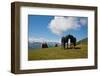 Austria, Tirol, Horses-Samuel Magal-Framed Photographic Print
