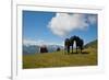 Austria, Tirol, Horses-Samuel Magal-Framed Photographic Print