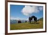 Austria, Tirol, Horses-Samuel Magal-Framed Photographic Print