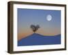 Austria, Tree with Tulfes (M)-Ludwig Mallaun-Framed Photographic Print