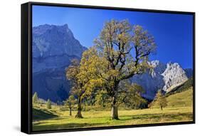 Austria, Tyrol, Autumn-Bernd Rommelt-Framed Stretched Canvas