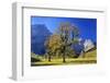 Austria, Tyrol, Autumn-Bernd Rommelt-Framed Photographic Print