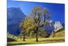 Austria, Tyrol, Autumn-Bernd Rommelt-Mounted Photographic Print