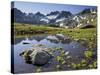 Austria, Tyrol, Bieltal, Totenfeldkopf, Lake-Rainer Mirau-Stretched Canvas
