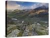 Austria, Tyrol, Bieltal (Valley), Madlenerspitze (Mountain)-Rainer Mirau-Stretched Canvas