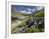 Austria, Tyrol, Bieltal (Valley), Totenfeldkopf (Mountain), Plants, Thistle-Rainer Mirau-Framed Photographic Print