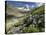Austria, Tyrol, Bieltal (Valley), Totenfeldkopf (Mountain), Plants, Thistle-Rainer Mirau-Stretched Canvas