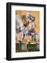 Austria, Tyrol, Cows, Carving-Rainer Mirau-Framed Photographic Print