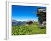 Austria, Tyrol, East Tyrol, Alp, Alpine Huts-Gerhard Wild-Framed Photographic Print