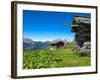 Austria, Tyrol, East Tyrol, Alp, Alpine Huts-Gerhard Wild-Framed Photographic Print