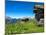 Austria, Tyrol, East Tyrol, Alp, Alpine Huts-Gerhard Wild-Mounted Photographic Print