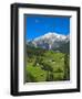 Austria, Tyrol, East Tyrol, Farmhouses-Gerhard Wild-Framed Photographic Print