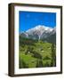 Austria, Tyrol, East Tyrol, Farmhouses-Gerhard Wild-Framed Photographic Print