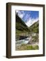 Austria, Tyrol, East Tyrol, Umbaltal, Isel (River), Mountain Stream, Bridge, Footpath-Gerhard Wild-Framed Photographic Print