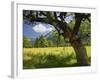 Austria, Tyrol, Karwendel (Mountain Range), Gro§er Ahornboden (Area), Maple Trees-Rainer Mirau-Framed Photographic Print