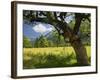 Austria, Tyrol, Karwendel (Mountain Range), Gro§er Ahornboden (Area), Maple Trees-Rainer Mirau-Framed Photographic Print