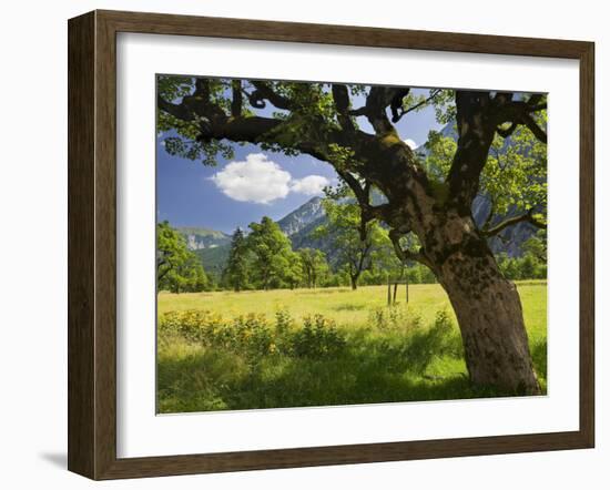 Austria, Tyrol, Karwendel (Mountain Range), Gro§er Ahornboden (Area), Maple Trees-Rainer Mirau-Framed Photographic Print