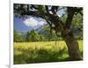 Austria, Tyrol, Karwendel (Mountain Range), Gro§er Ahornboden (Area), Maple Trees-Rainer Mirau-Framed Photographic Print