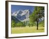 Austria, Tyrol, Karwendel (Mountain Range), Gro§er Ahornboden (Area), Spritzkarspitze (Peak-Rainer Mirau-Framed Photographic Print