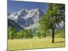 Austria, Tyrol, Karwendel (Mountain Range), Gro§er Ahornboden (Area), Spritzkarspitze (Peak-Rainer Mirau-Mounted Photographic Print