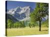 Austria, Tyrol, Karwendel (Mountain Range), Gro§er Ahornboden (Area), Spritzkarspitze (Peak-Rainer Mirau-Stretched Canvas