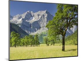 Austria, Tyrol, Karwendel (Mountain Range), Gro§er Ahornboden (Area), Spritzkarspitze (Peak-Rainer Mirau-Mounted Photographic Print