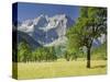 Austria, Tyrol, Karwendel (Mountain Range), Gro§er Ahornboden (Area), Spritzkarspitze (Peak-Rainer Mirau-Stretched Canvas