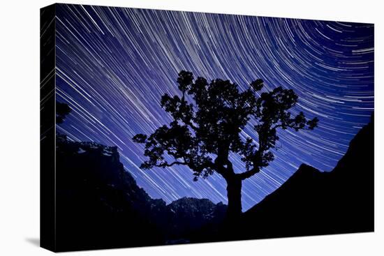 Austria, Tyrol, Narrow Valley, Starry Sky-Bernd Rommelt-Stretched Canvas