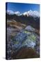 Austria, Tyrol, National-Park Hohe Tauern, Rocks, Mountain Scenery-Rainer Mirau-Stretched Canvas