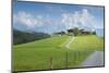 Austria, Tyrol, Reith bei Kitzbuehel, farms close Reith.-Roland T. Frank-Mounted Photographic Print