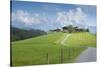 Austria, Tyrol, Reith bei Kitzbuehel, farms close Reith.-Roland T. Frank-Stretched Canvas