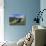 Austria, Tyrol, Stubai Alps, Traveling-Equipment, Mountain Scenery-Rainer Mirau-Photographic Print displayed on a wall