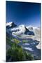 Austria, Tyrol, …tztaler Alpen, Wildspitze, Summit, Pippau, Crepis-Rainer Mirau-Mounted Photographic Print