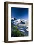 Austria, Tyrol, …tztaler Alpen, Wildspitze, Summit, Pippau, Crepis-Rainer Mirau-Framed Photographic Print