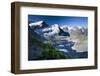 Austria, Tyrol, …tztaler Alpen, Wildspitze, Summit, Pippau, Crepis-Rainer Mirau-Framed Photographic Print