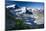 Austria, Tyrol, …tztaler Alpen, Wildspitze, Summit, Pippau, Crepis-Rainer Mirau-Mounted Photographic Print