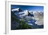 Austria, Tyrol, …tztaler Alpen, Wildspitze, Summit, Pippau, Crepis-Rainer Mirau-Framed Photographic Print