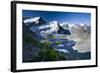 Austria, Tyrol, …tztaler Alpen, Wildspitze, Summit, Pippau, Crepis-Rainer Mirau-Framed Photographic Print